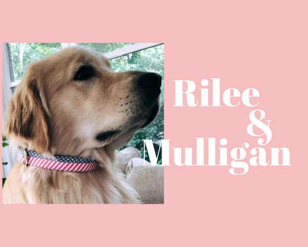 Rilee & Mulligan