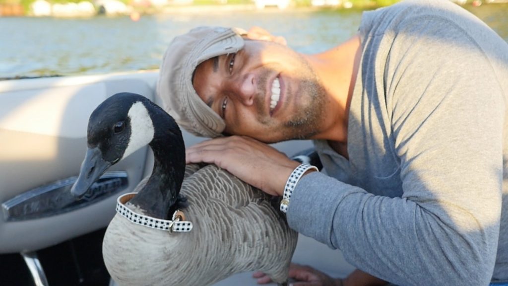 Mike & Kyle the Goose