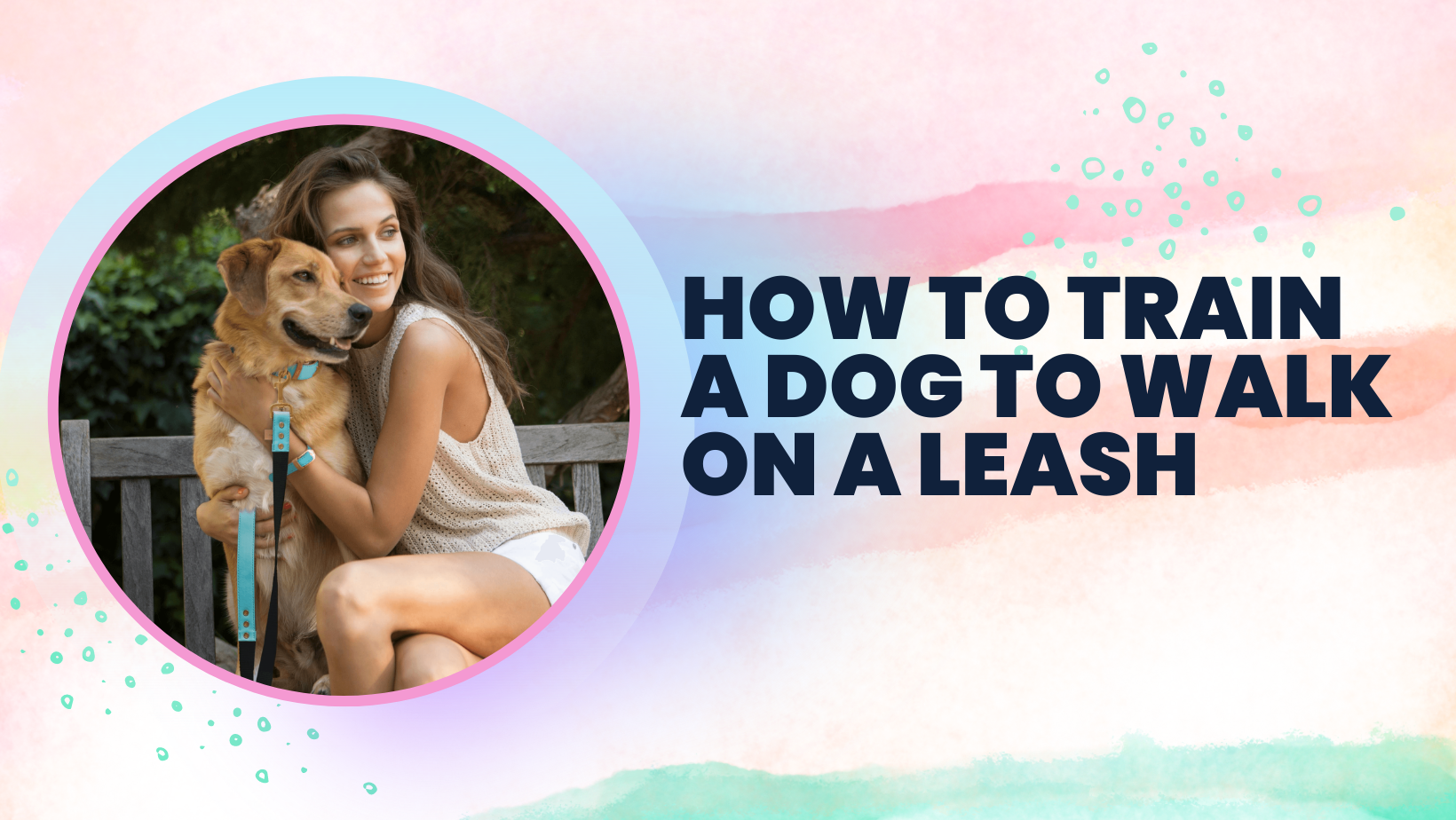 How to Train a Dog to Walk on a Leash