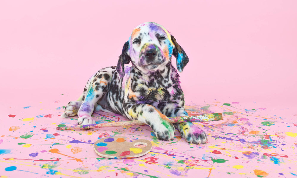 Arty Dogs