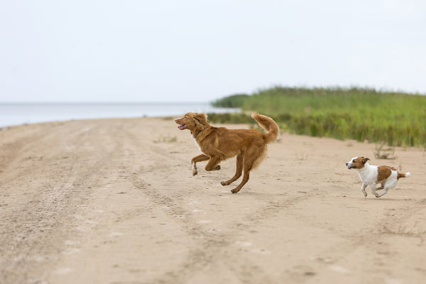 Unusual Besties: Summer Vacay Edition