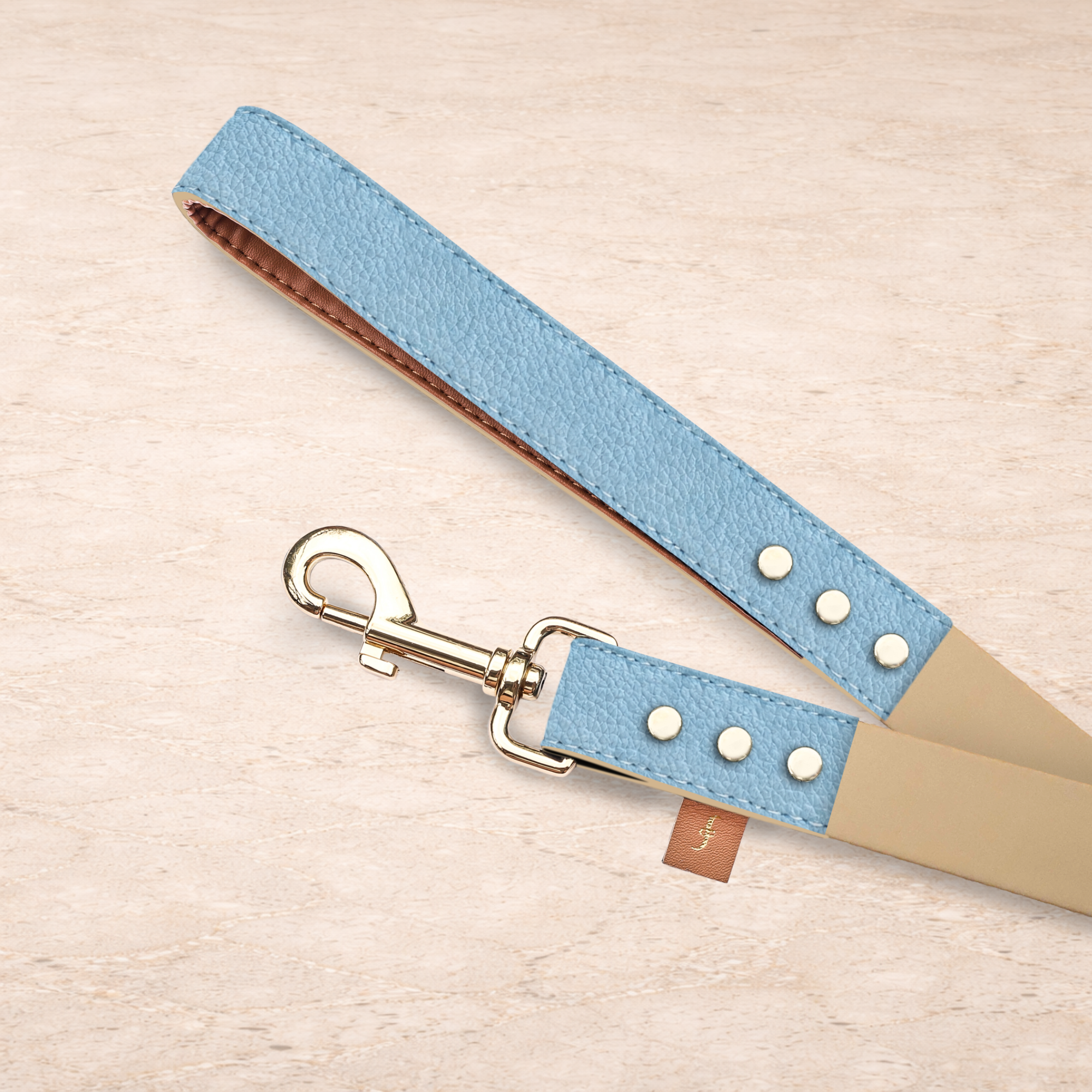 Aqua Blue - 5ft Leash