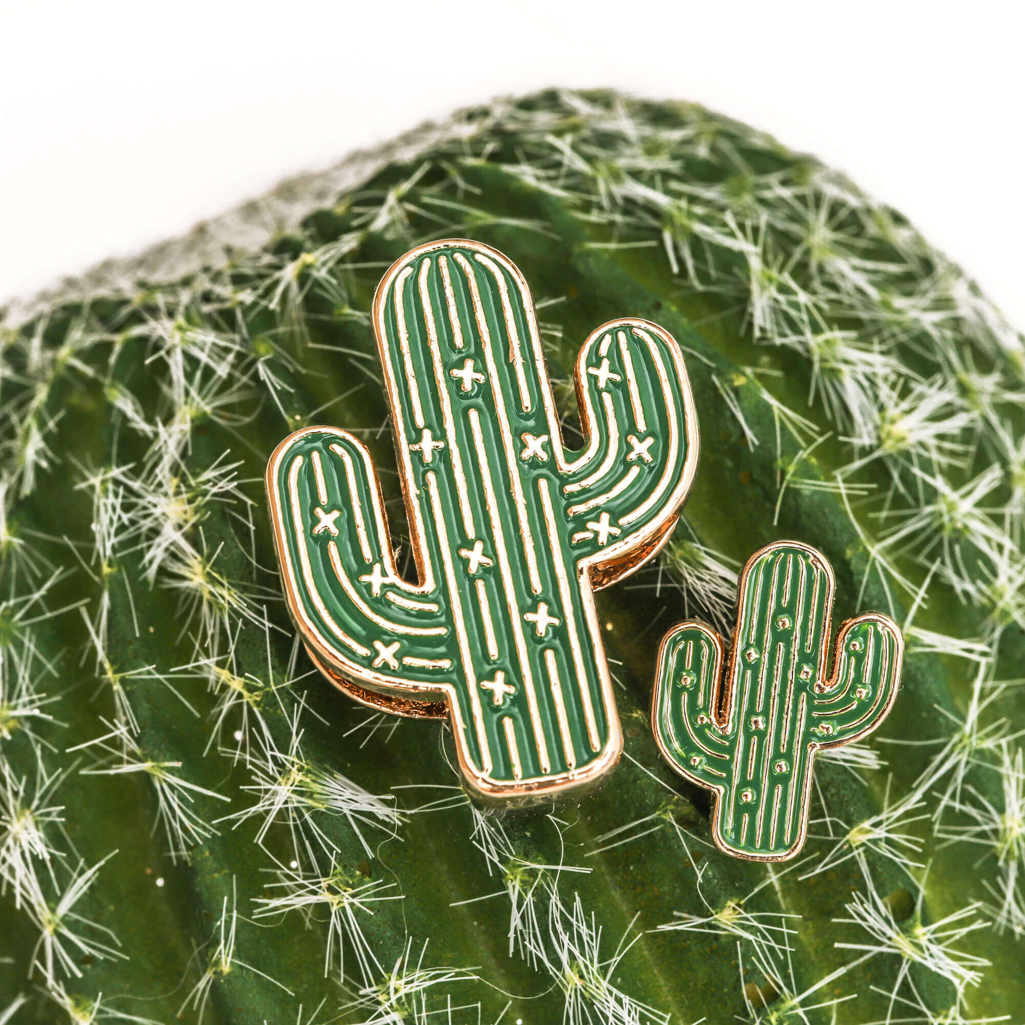 Desert Bloom Charm Set