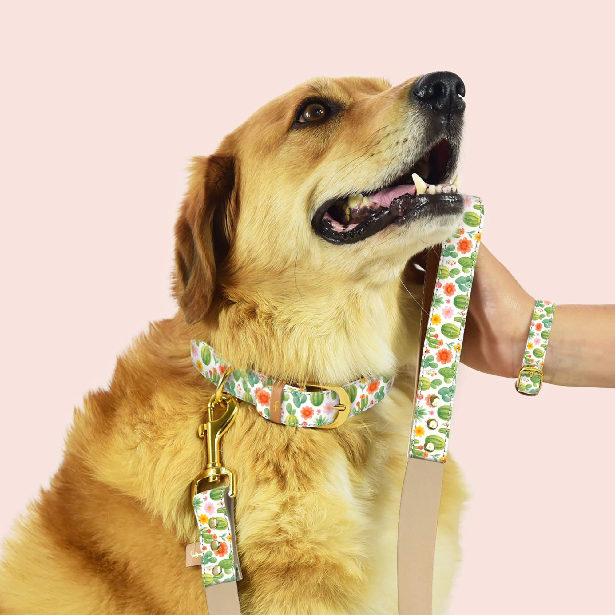 Cactus Cutie - 5ft Leash