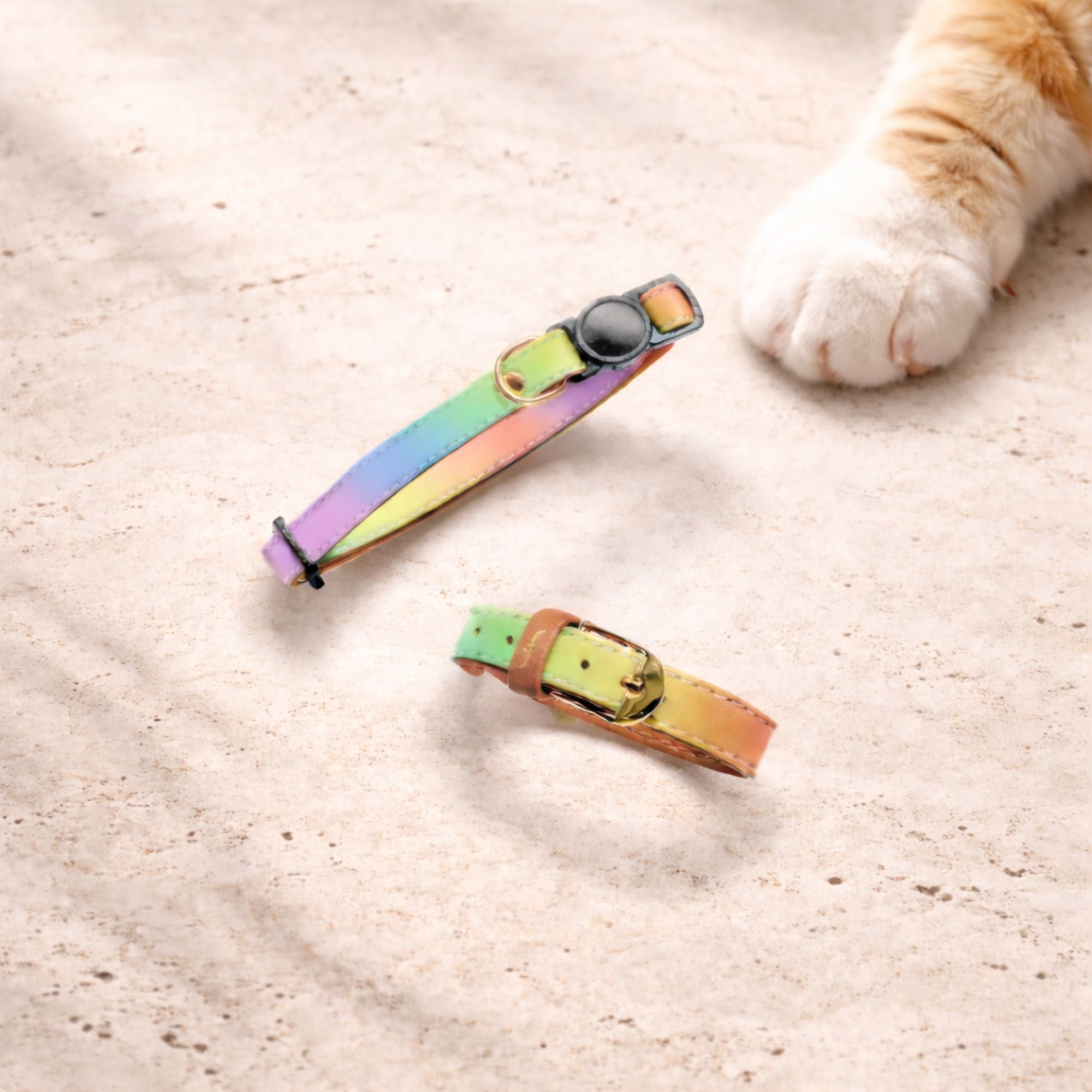 Chasing Rainbows - Cat Collar