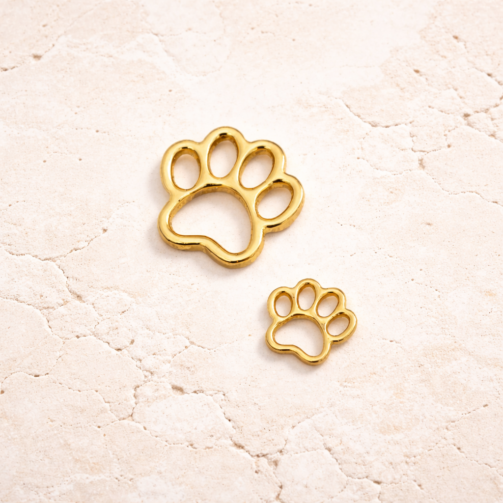 Bestie Paw Matching Charm Set