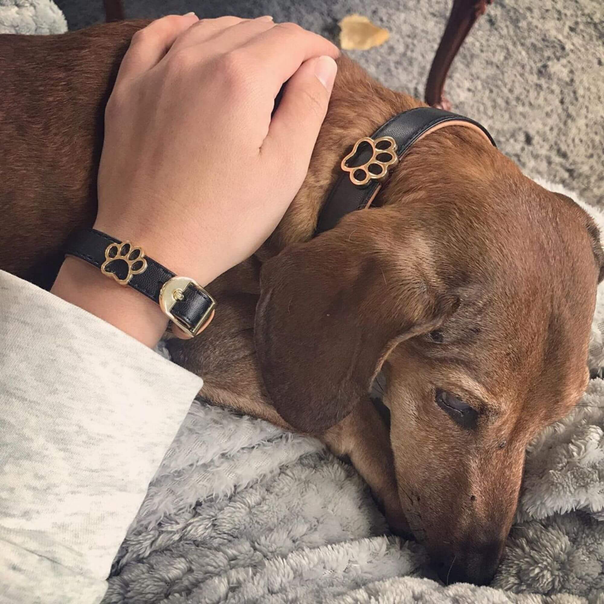 Bestie Paw Matching Charm Set
