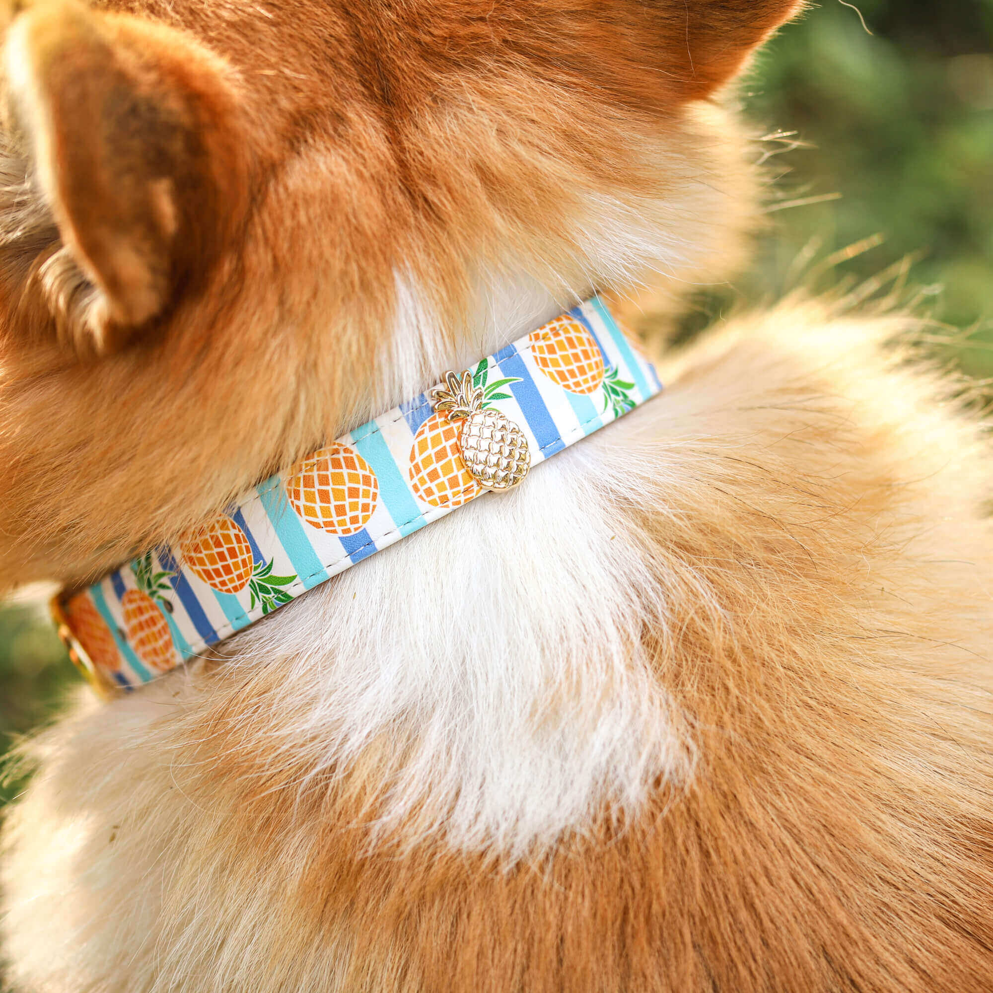 Golden Pineapple Charm Set