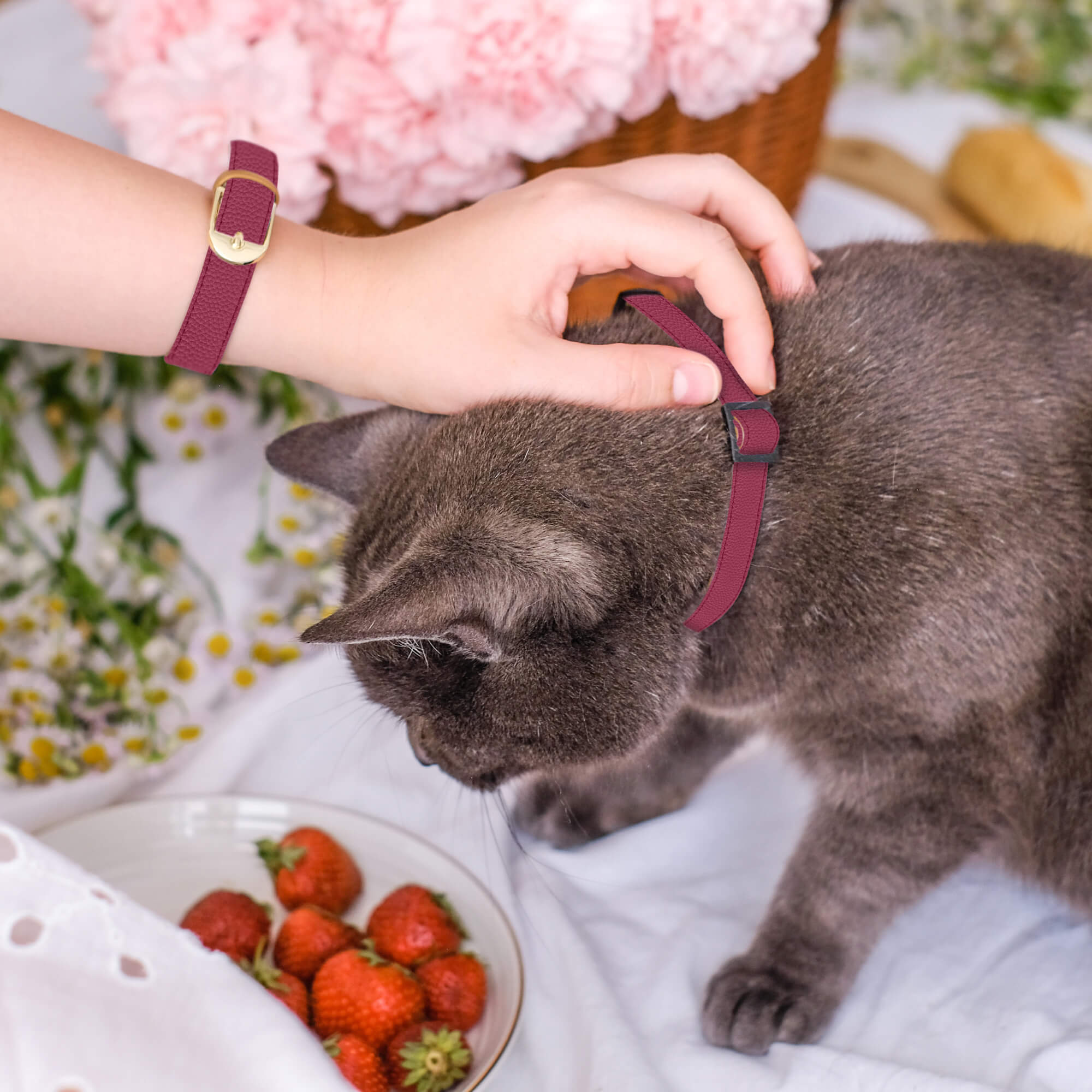 Raspberry Crush - Cat
