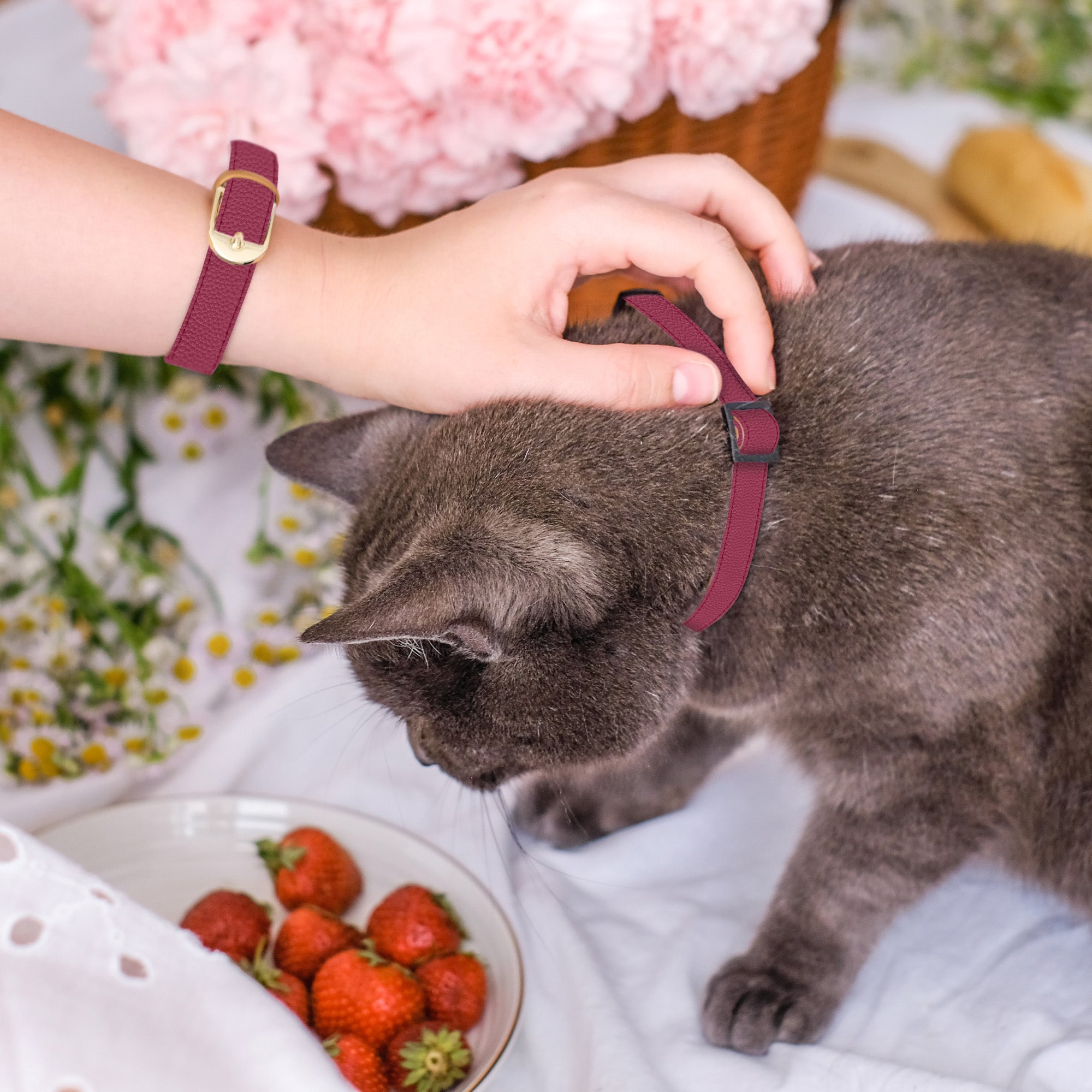 Raspberry Crush - Cat