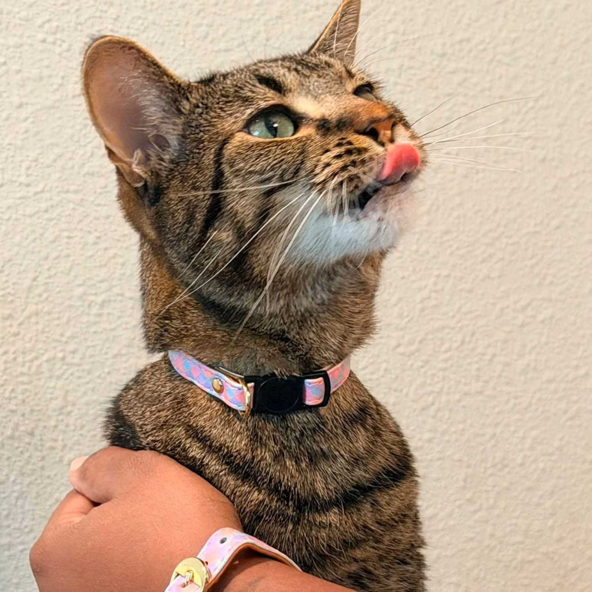 Mermaid Tails - Cat Collar