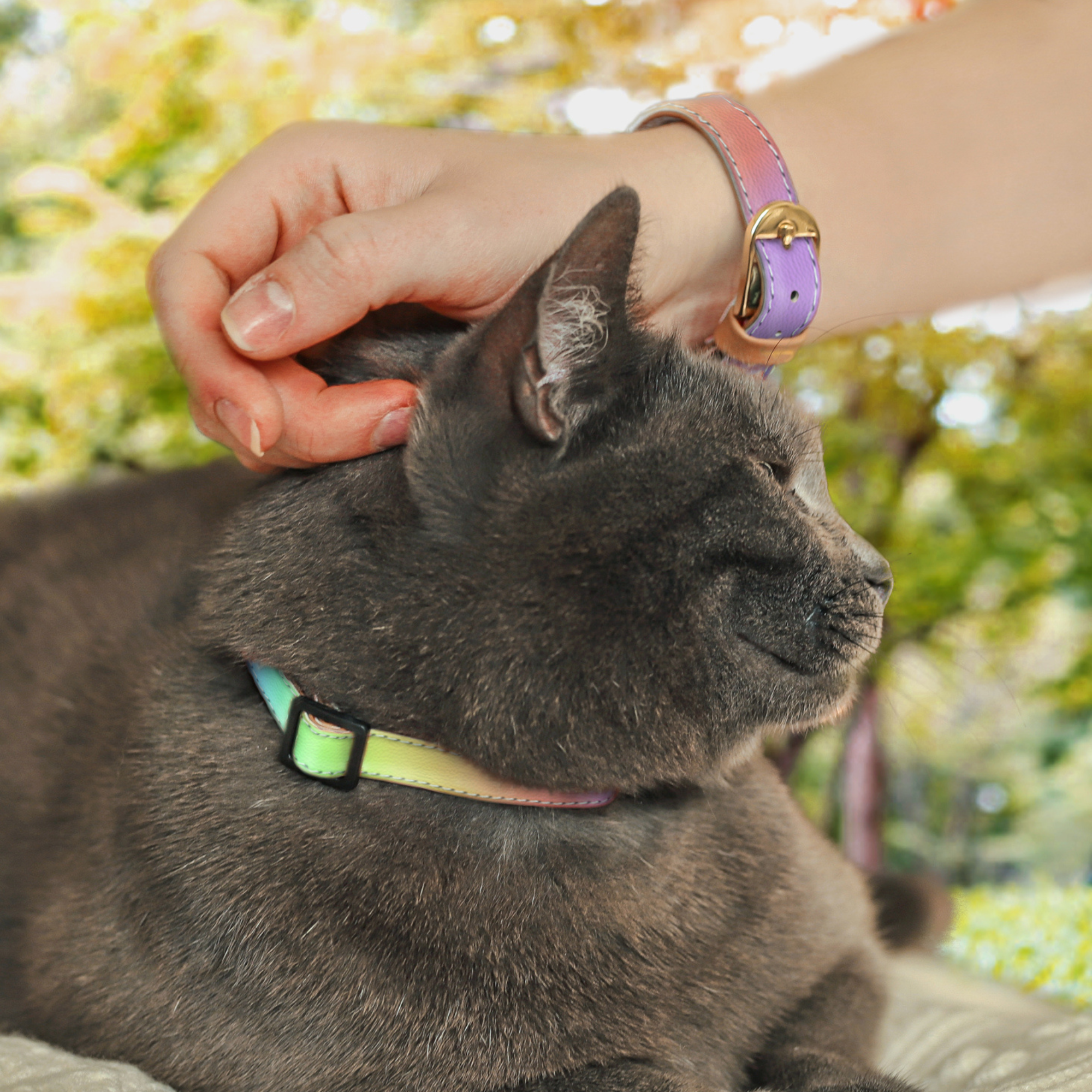 Chasing Rainbows - Cat Collar
