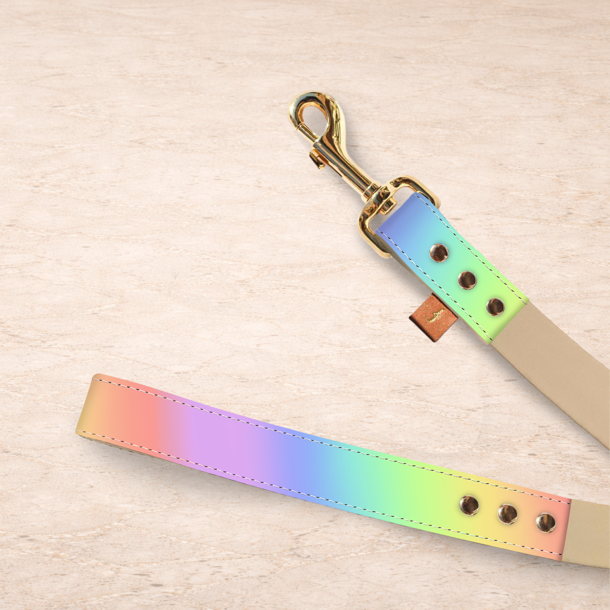 Chasing Rainbows - 5ft Leash