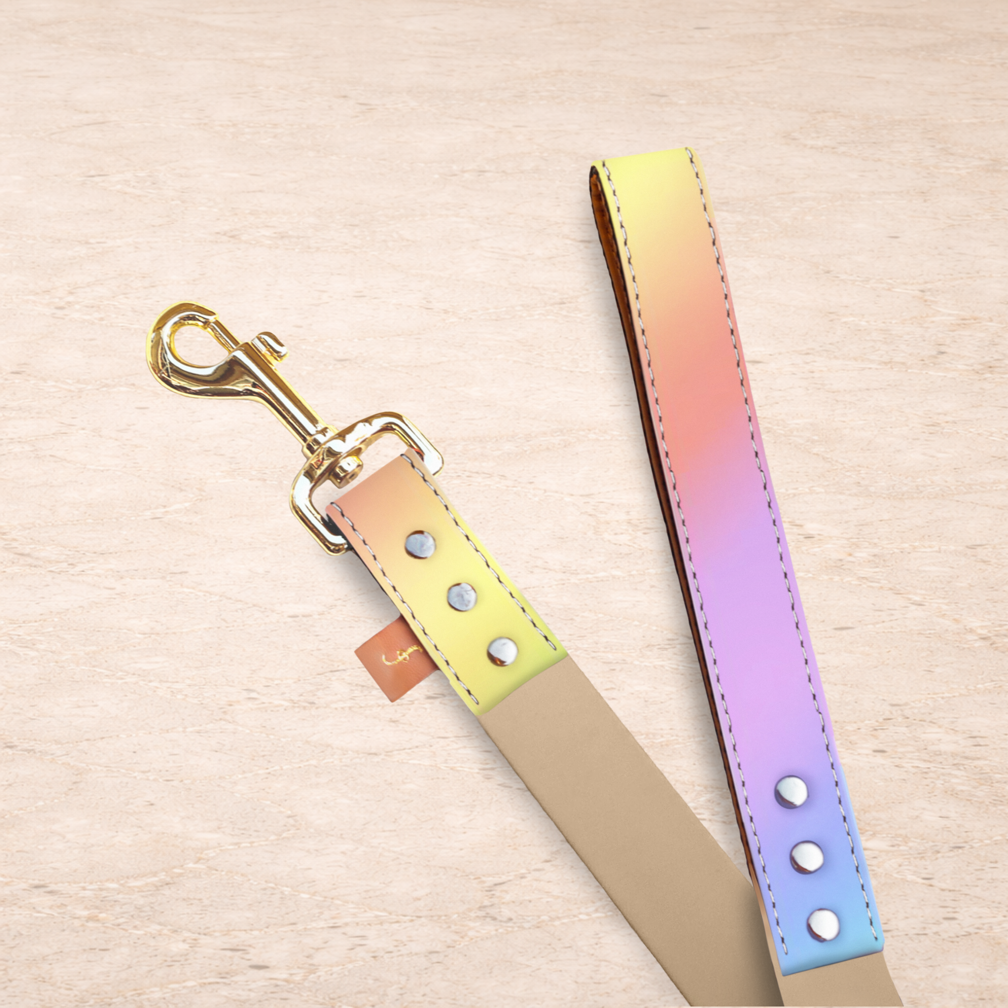 Chasing Rainbows - 5ft Leash