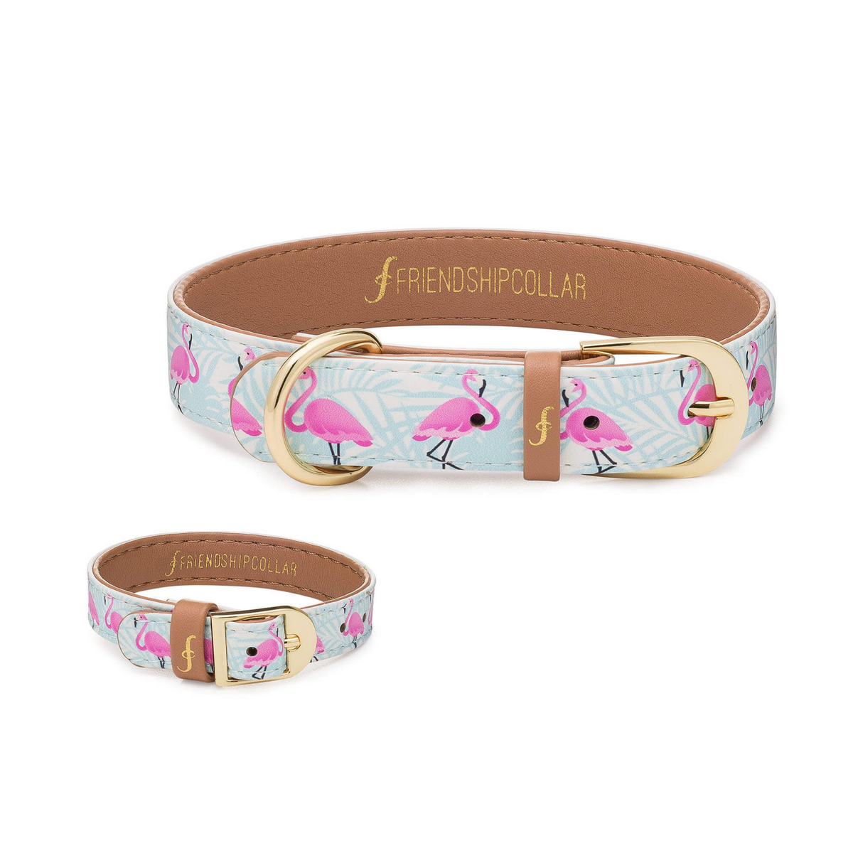 Chewy friendship collar hotsell