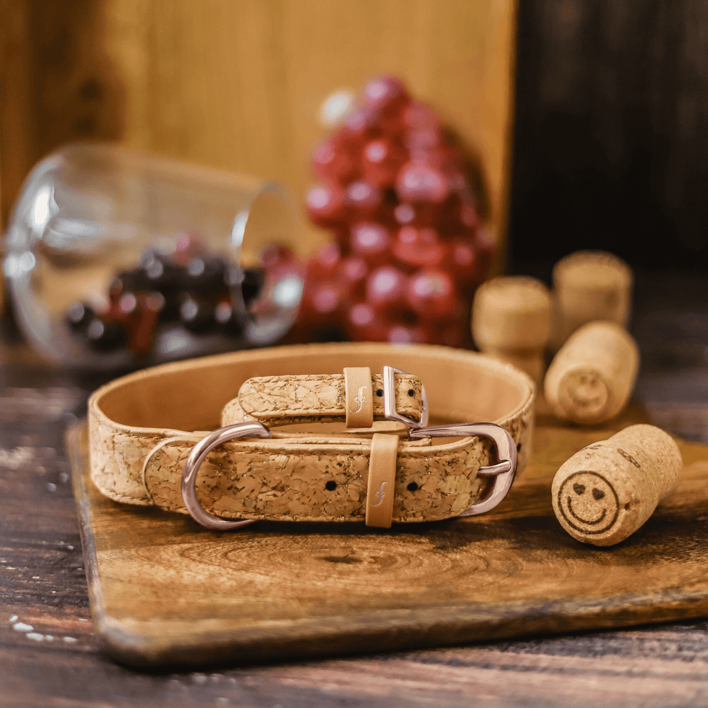 Cork dog collar hotsell