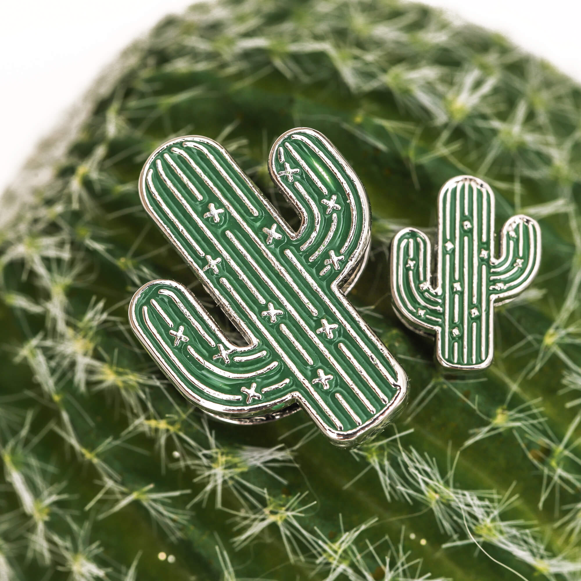 Desert Bloom Charm Set