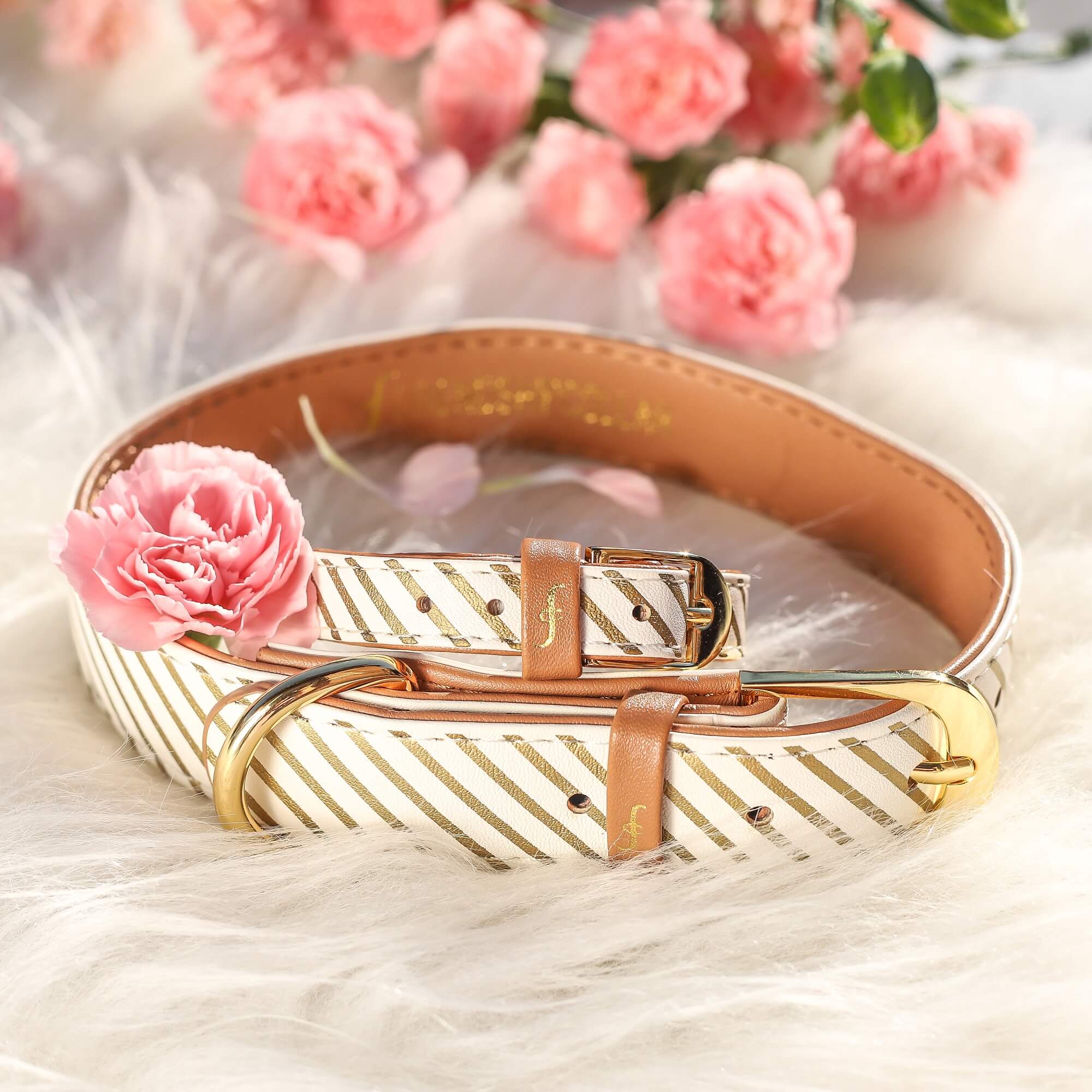 Devoted Doggy FriendshipCollar