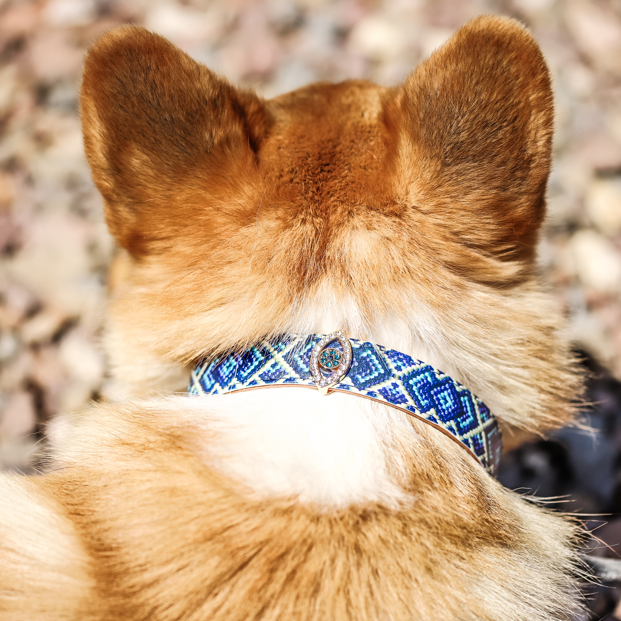 Protect Me Charm Set