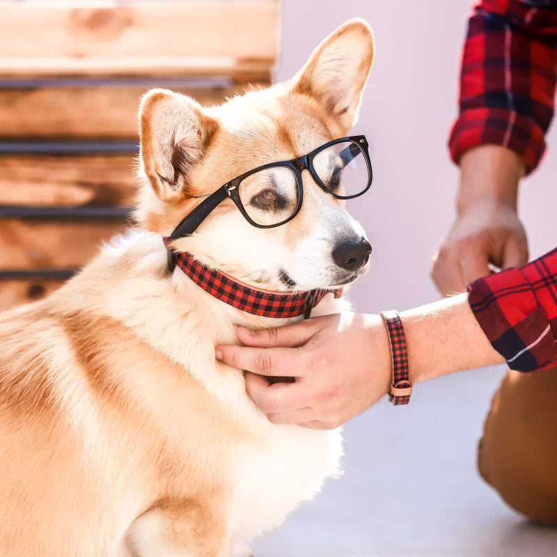 The Hipster Pup