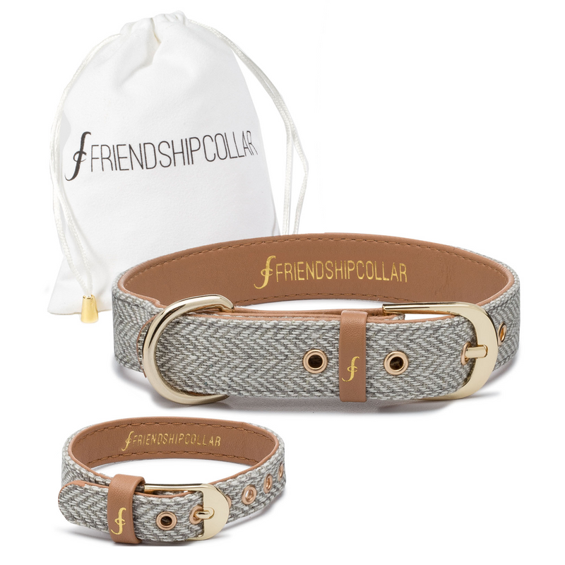 Dog friendship collar best sale