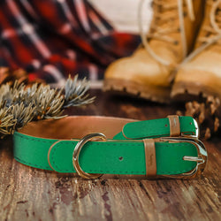 The Classic Pup: Forest Green
