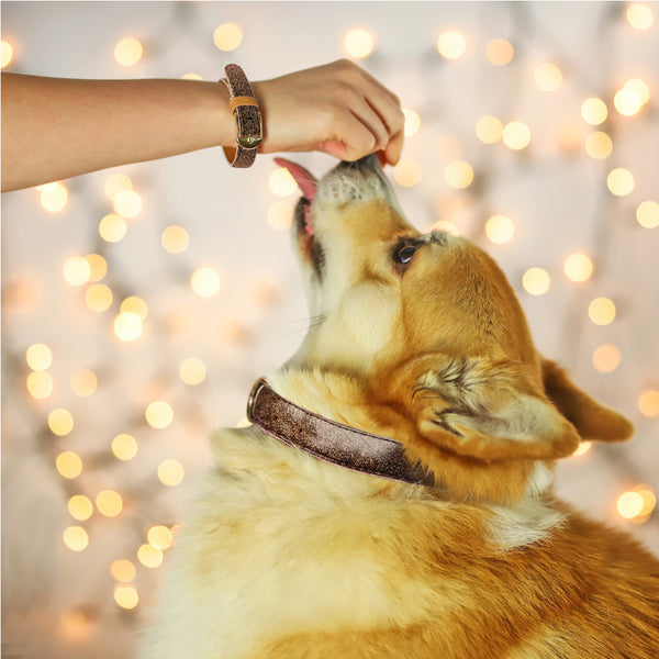 The Sparkling Pup: Glitter Bronze