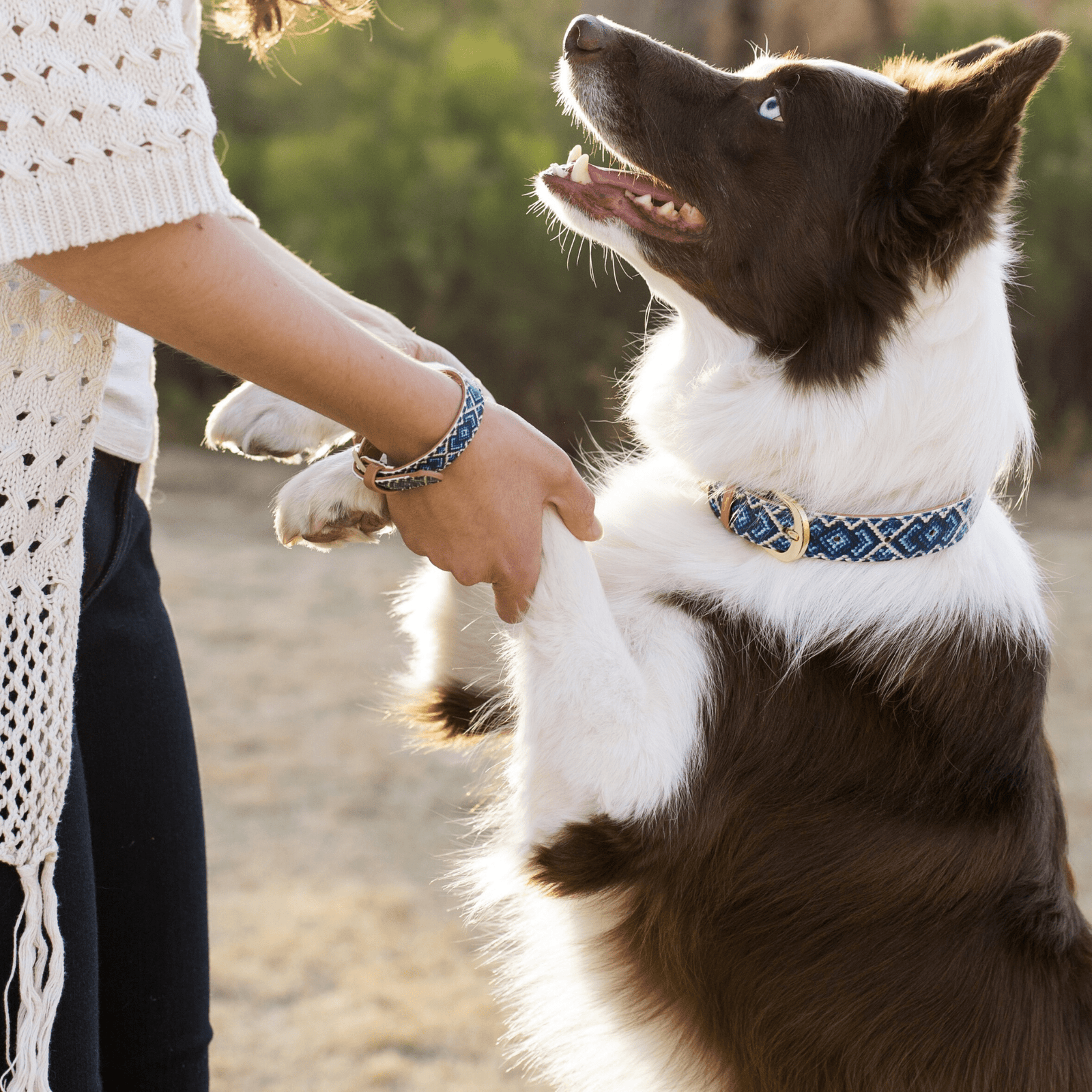 Friendship collar and bracelet hot sale