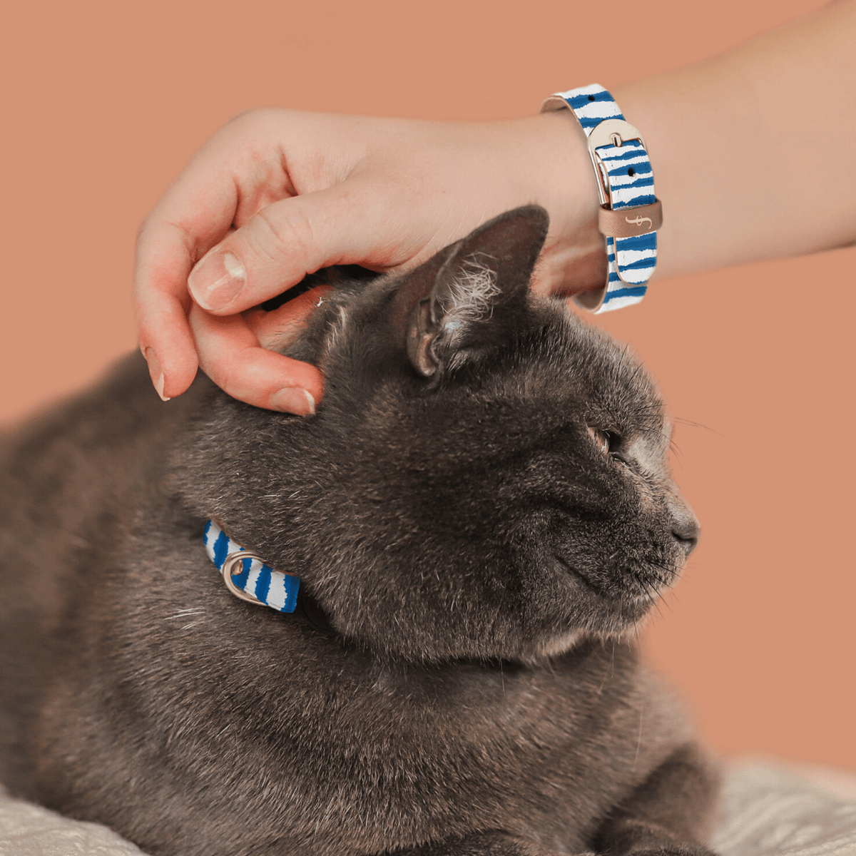 Matching cat collar and human bracelet 2025
