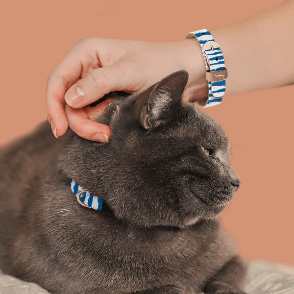 Water-Color Baby Cat Collar